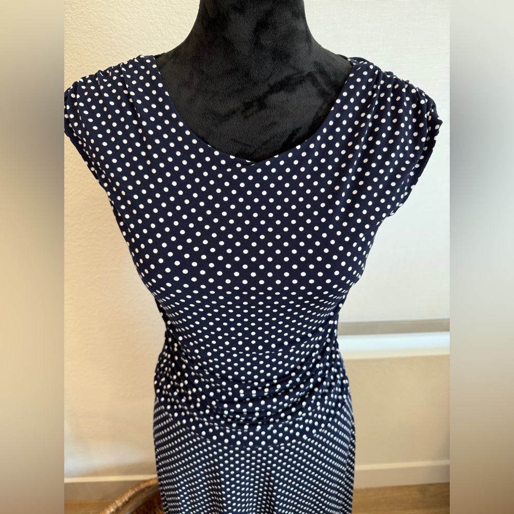 Enfocus Studio Navy and White Polka Dot Dress